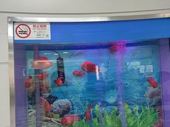 -雅悦齿科(顾村公园店)