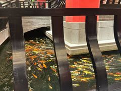 -龙悦湾酒家·八阵鱼生·渔人码头店