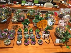 -矢量咖啡(万象汇店)