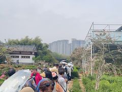 -洛阳市隋唐城遗址植物园