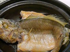 -菉雅苑·湛江菜(前海卓越INTOWN店)