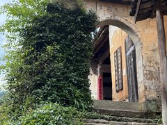 -杨家堂村