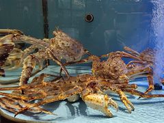 -阿伟海鲜楼·福建菜(延寿店)