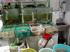 -胖子饺子馆·海鲜家常菜(海军博物馆店)