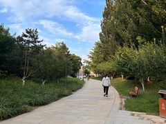 -元大都城垣遗址公园