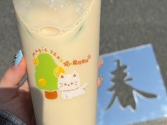 -猫的魔法密林(衣裳街店)