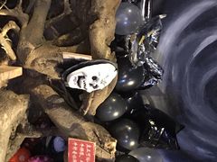 -秃鹫湾·推理大师沉浸式实景演绎推理剧场