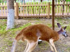 -水上乐园·欢乐世界