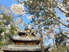 -龙华寺