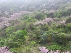 -华山风景名胜区