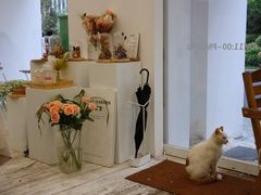 -追光 Dream Bakery(汉街店)