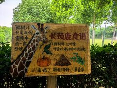 -合肥野生动物园