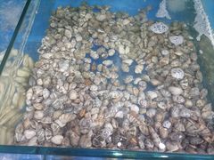 -雅逸居海鲜小厨