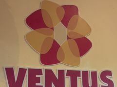 -ventus spa 沙巴亚庇正宗精油按摩会所