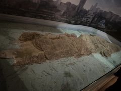 -白鹤梁水下博物馆