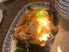 -卷心菜和避孕套餐厅(Pattaya)