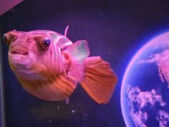 -正佳极地海洋世界