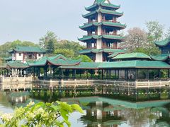-桂湖森林公园