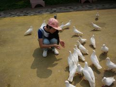 -松山湖梦幻百花洲