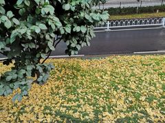 -吕家米皮