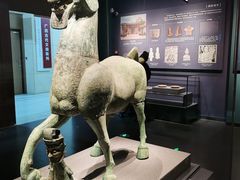 -广西壮族自治区博物馆