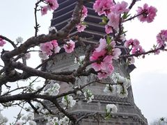 -玲珑塔公园