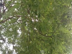 -北京利生体育商厦