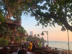-卷心菜和避孕套餐厅(Pattaya)