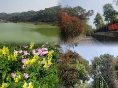 -广州市白云山风景名胜区