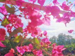 -攀枝花公园