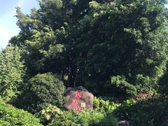 -乌山风景区