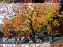 -香山公园