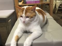 -小时光咖啡馆(开森度假森林店)