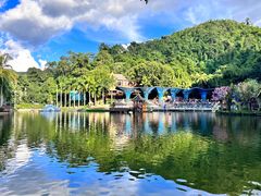 -西双版纳原始森林公园