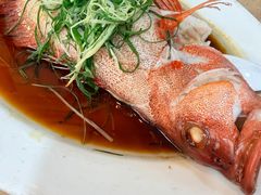 -老字号蛇口德记烧腊饭店·海鲜加工