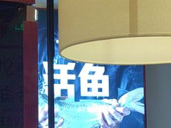 -老板恋上鱼(恒隆广场店)