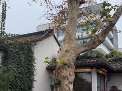 -鲤院·新中式美学·庭院餐厅(夫子庙店)