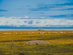 -青海湖国家重点风景名胜区