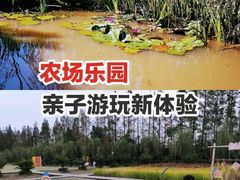 -前小桔亲子创意农场·草莓采摘·露营烧烤