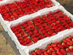 -堤口果品批发市场