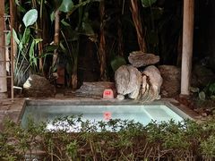 -腾冲和顺柏联酒店