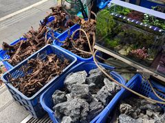 -青石桥花鸟鱼虫市场(叠翠城店)