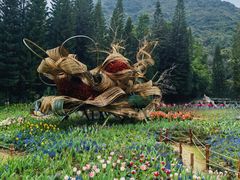 -深圳仙湖植物园