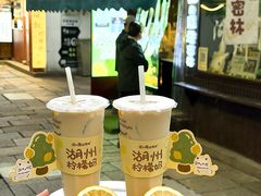 -猫的魔法密林(衣裳街店)