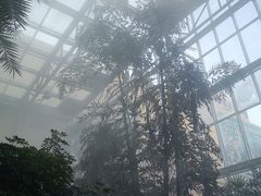 -仁爱团泊湖温泉中心