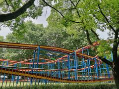 -上海共青森林公园