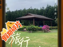 -迪茵湖田家舍生态农场