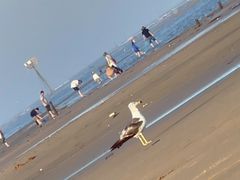-刘家湾赶海园