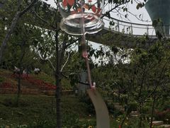 -狐尾山公园