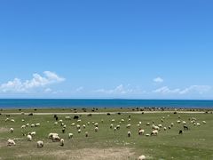 -哈密雅丹大海道景区